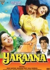 Yaraana (1995)