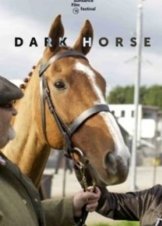 Dark Horse (2015)