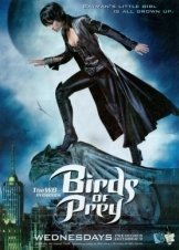 Birds of Prey  TV Series (2002–2003)