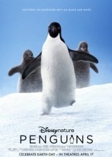 Penguins (2019)
