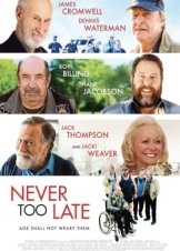 Never Too Late (2020)