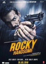 Rocky Handsome (2016)