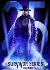 Survivor Series 2015