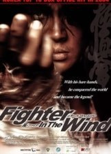 Fighter in the Wind (2004)