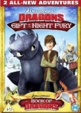 How To Train Your Dragon: Gift Of The Night Fury  (2011) Short