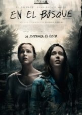 Into the Forest / Στην Καρδιά Του Δάσους (2016)