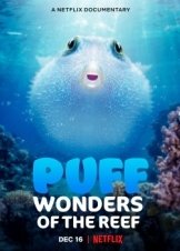Puff: Wonders of the Reef (2021)