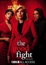 The Good Fight  (2017)
