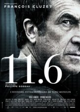 11.6 (2013)