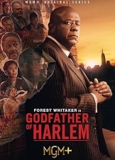 Godfather of Harlem (2019)
