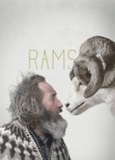 Rams 2015
