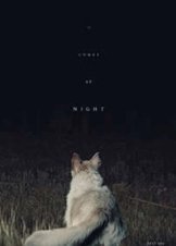 It Comes at Night (2017)