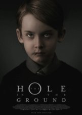 The Hole in the Ground (2019)