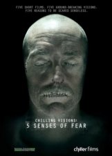 Chilling Visions: 5 Senses of Fear (2013)