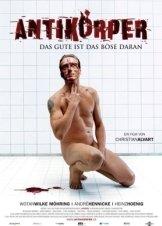 Antibodies / Antikörper (2005)