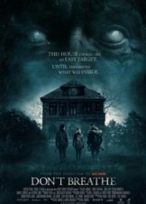 Dont Breathe (2016)