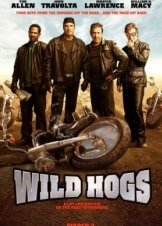 Wild Hogs / Οι Χαρλεάδες (2007)