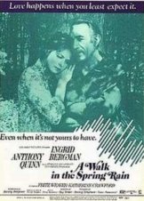 A Walk in the Spring Rain (1970)