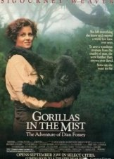 Γορίλες στην ομίχλη / Gorillas in the Mist: The Story of Dian Fossey (1988)