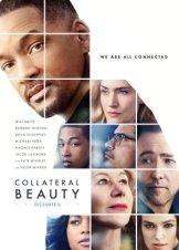 Κρυφή Ομορφιά / Collateral Beauty (2016)