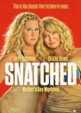 Όμηροι διακοπών / Snatched (2017)