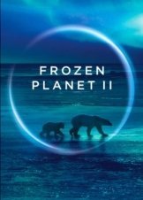 Frozen Planet II (2022)