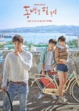 When the Camellia Blooms / Dongbaekkkot Pil Muryeop (2019)