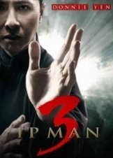 Ip Man 3 2015