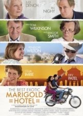 The Best Exotic Marigold Hotel (2011)