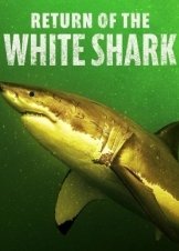 Return of the White Shark (2023)