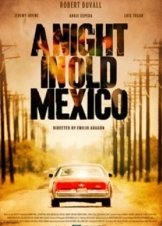 A Night in Old Mexico (2013)