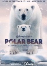 Polar Bear (2022)