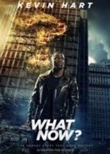 Kevin Hart: What Now? (2016)