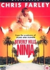 Beverly Hills Ninja (1997)