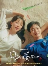 Σαν Ανθη Στην Αμμο / The Sand Flower (2023)