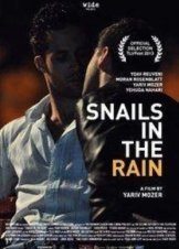 Snails in the Rain (2013)