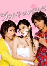 The Last Cinderella (2013)