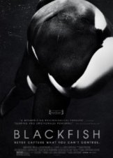 Blackfish (2013)