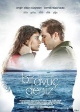 Bir Avuç Deniz (2011)