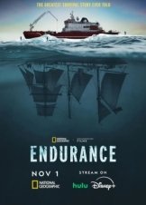 Endurance (2024)