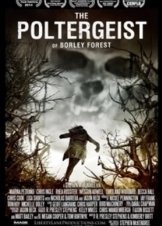The Poltergeist of Borley Forest (2013)
