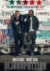 Blindspotting (2018)
