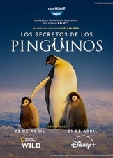 Secrets of the Penguins (2025)