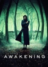 The Awakening 2011
