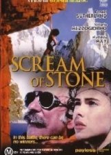 Cerro Torre: Schrei aus Stein (1991)