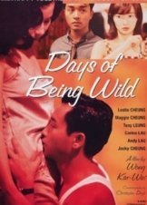 Days of Being Wild (1990)