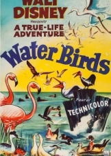 Θαλασσοπουλια / Water Birds (1952)