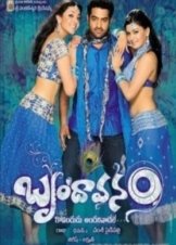 Brindaavanam (2010)