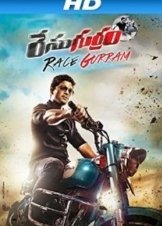 Race Gurram (2014)