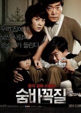 Hide and Seek (2013)